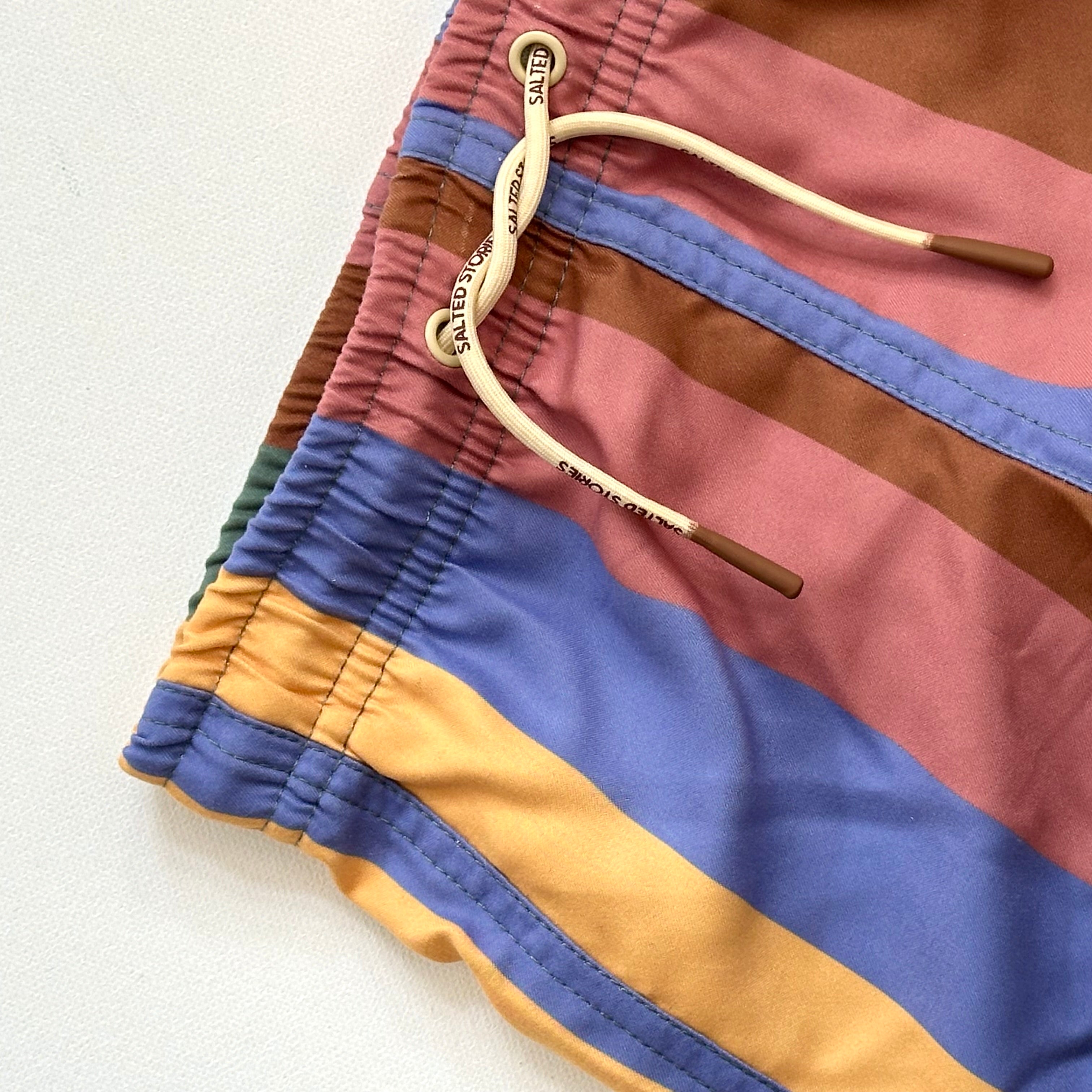 Stripe Swim Shorts